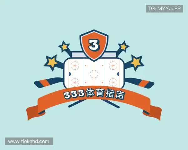 认识333体育指南