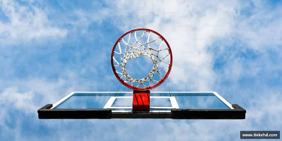 了解bevictor官网